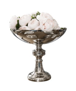 PATTERN-for-fruits-silver-nickel-classic