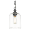 Prague glass pendant lamp, black details, single point, modern, design