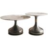 COFFEE TABLE SET double, stone top, stainless steel base, beautiful