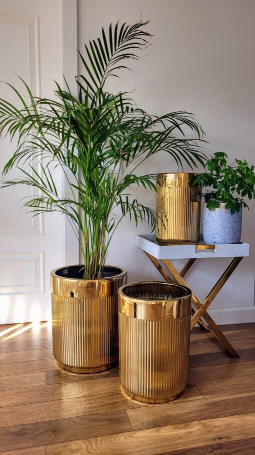 set-of-three-donic-gold-prazed-decoration-big-polish-surface