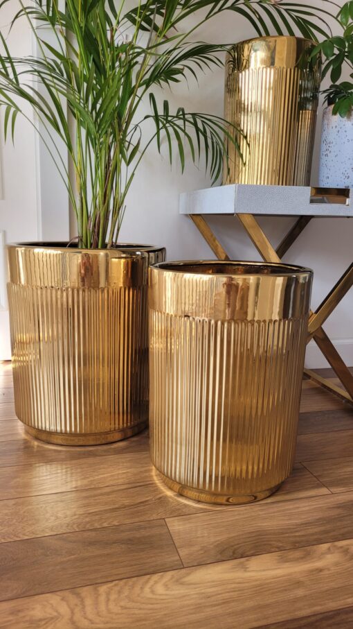 set-of-three-donic-gold-prazed-decoration-big-polish-surface