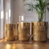 set-of-three-donic-gold-prazed-decoration-big-polish-surface