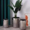 silver-donice-high-gloss-surface-set-glamour-style