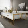 Rectangular coffee table, white, glass top, gold base, glamour style